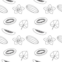 Melon seamless pattern, hand drawn, vector illustration