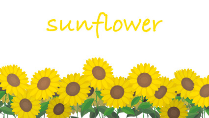 ひまわりのイラスト