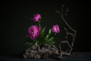 Graceful peonies, radiating elegance and tenderness, with branches and snags. A harmonious...
