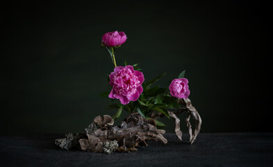 Graceful peonies, radiating elegance and tenderness, with branches and snags. A harmonious...