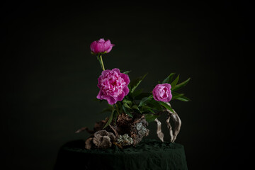 Graceful peonies, radiating elegance and tenderness, with branches and snags. A harmonious combination of the beauty of nature and artistic skill.