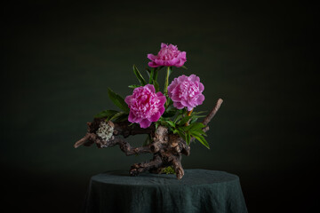 Graceful peonies, radiating elegance and tenderness, with branches and snags. A harmonious combination of the beauty of nature and artistic skill.