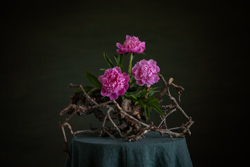 Graceful peonies, radiating elegance and tenderness, with branches and snags. A harmonious...
