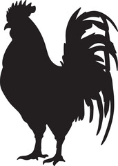 chicken vector