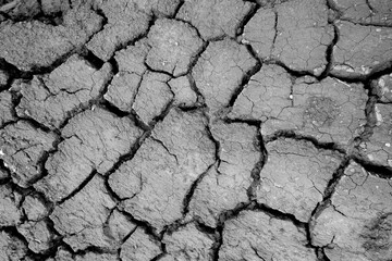 Wall texture soil dry crack pattern of drought lack of water of nature brown old broken background.