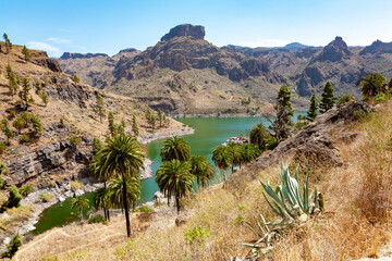 Lake Embalse de Soria, Island Gran Canaria, Canary Islands, Spain, Europe.