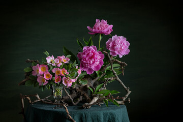 wild rose, peonies, floral contrast, thorns, softness, phytodesign, artistic composition, botanical beauty, rugged elegance, delicate petals, driftwood, branches, floral harmony, nature-inspired, ench