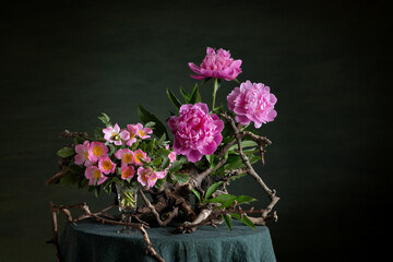 wild rose, peonies, floral contrast, thorns, softness, phytodesign, artistic composition, botanical beauty, rugged elegance, delicate petals, driftwood, branches, floral harmony, nature-inspired, ench