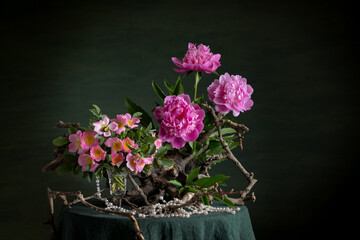 wild rose, peonies, floral contrast, thorns, softness, phytodesign, artistic composition, botanical beauty, rugged elegance, delicate petals, driftwood, branches, floral harmony, nature-inspired, ench