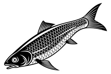 ochiba fish sihouette black vector