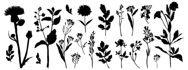 Vector silhouette of wild meadow herbs and flowers. Natural black grass border on white background. Perfect for botanical design, print, cards, posters, eco packaging, and decorative elements.