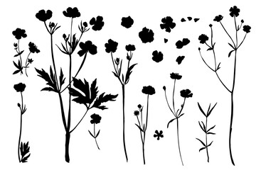 Vector silhouette of wild meadow herbs and flowers. Natural black grass border on white background. Perfect for botanical design, print, cards, posters, eco packaging, and decorative elements.