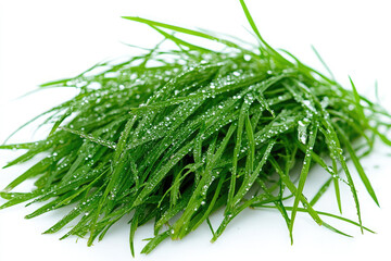 Close up of fresh green grass blades glistening with tiny water droplets