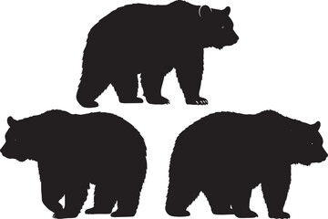 Fototapeta premium American black bear silhouette vector illustration