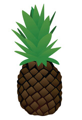 Pineapple on white background	
