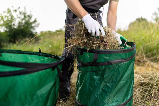 Individual collects grass clippings and yard waste in green bags during a sunny day in a garden - Powered by Adobe