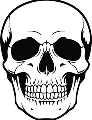 detailed black and white illustration of a human skull, showcasing its intricate bone structure and empty eye sockets