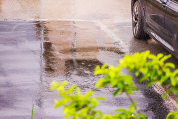 Parked black car on wet asphalt during rainfall with blurred green branches visible in foreground. Sweden.