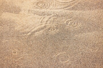 Raindrops creating circular ripples on rough asphalt during summer rain shower. 