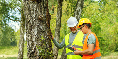 Ecologist men in the forest marks of the ecological situation of the environment. Two eco technic...