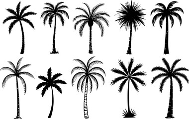 Obraz premium Black and white silhouettes of various palm trees tropical nature