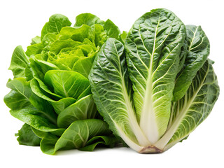 Fototapeta premium Fresh green lettuce leaves isolated on a transparent background romaine leafy, PNG