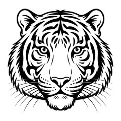 Fototapeta premium white tiger head vector 