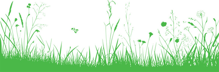 Green grass and wildflowers silhouette nature