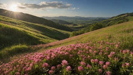 Fototapeta premium Sunset Over Blooming Hills With Pink Flowers in a Serene Landscape