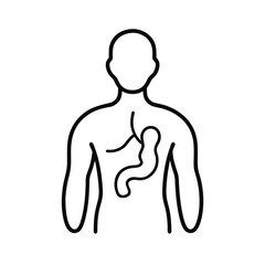 Pancreas Outline Vector Illustration