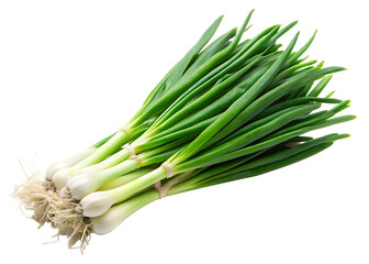 Fresh green onions with roots and white bulbs isolated on a transparent background scallions spring onions, PNG