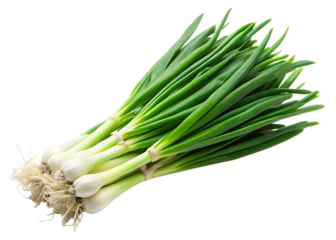 Fresh green onions with roots and white bulbs isolated on a transparent background scallions spring onions, PNG