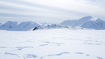 Snow-Covered Mountain in Arctic Winter Light
