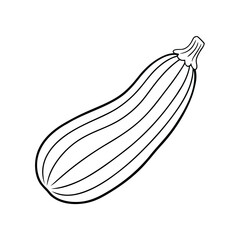 Zucchini Vegetable Line Drawing Sketch