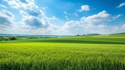 Lush green field under a vibrant blue sky. Scenic rural landscape. Ideal for backgrounds