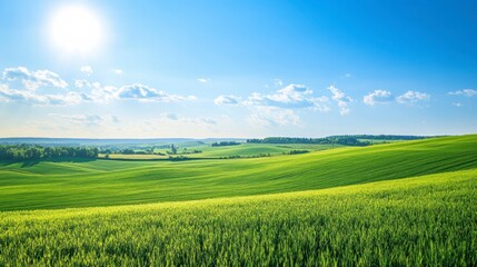 Fototapeta premium Lush green field under a vibrant blue sky. Wide open space. Peaceful landscape. Ideal for backgrounds