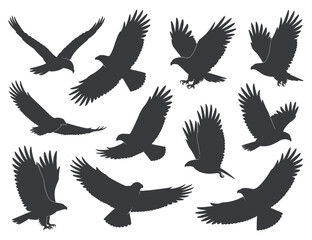 Collection of Silhouettes of Eagles in Flight Against a White Background Multiple black silhouettes eagles various flight positions eagle silhouette bird flying flight