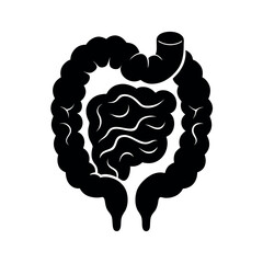 gut anatomy human digestive silhouette vector art