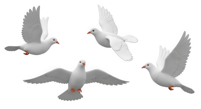 Graceful white doves soar against a dark backdrop, a symbol of peace, freedom, and serene elegance in avian flight, transparent background