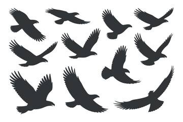 Collection of Silhouettes of Birds in Flight Vector graphic various birds soaring the sky birds eagle silhouette flying wildlife nature vector graphic illustration