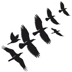 black-silhouette-vector-of-birds-in-flight--white- (2)