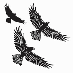 black-silhouette-vector-of-birds-in-flight--white- (3)