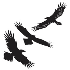 black-silhouette-vector-of-birds-in-flight--white-