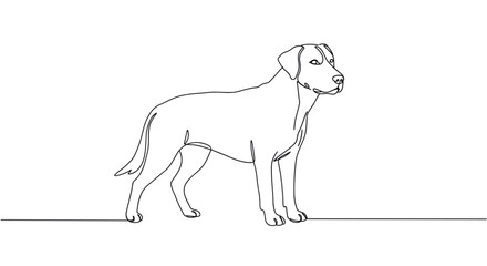Line art drawing of a standing dog