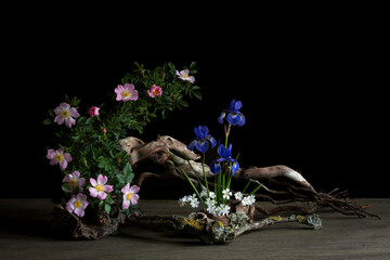 A serene ikebana arrangement featuring a delicate branch of wild rose and elegant irises. The...