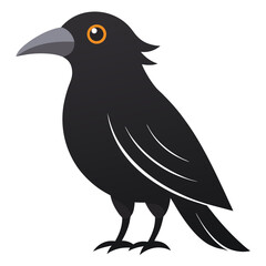 crow on a white background