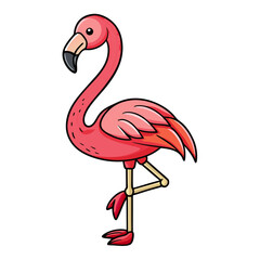 flamingo vector illustration