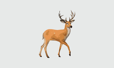 Vector deer design fully editable high quality