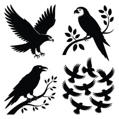 Obraz premium Elegant Bird Silhouettes: Eagle, Parrot, Raven, and Flock Designs