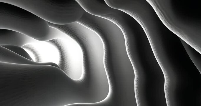 Abstract animation of a camera moving through a tunnel with organic shapes and textures.